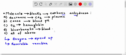 a-molecule-that-blocks-the-activity-of-carbonic-anhydrase-would-immediately-a-decrease-the-amount-of-carbon-dioxide-dissolved-in-the-plasma-b-cause-an-increase-in-blood-ph-c-interfere-with-o-46843