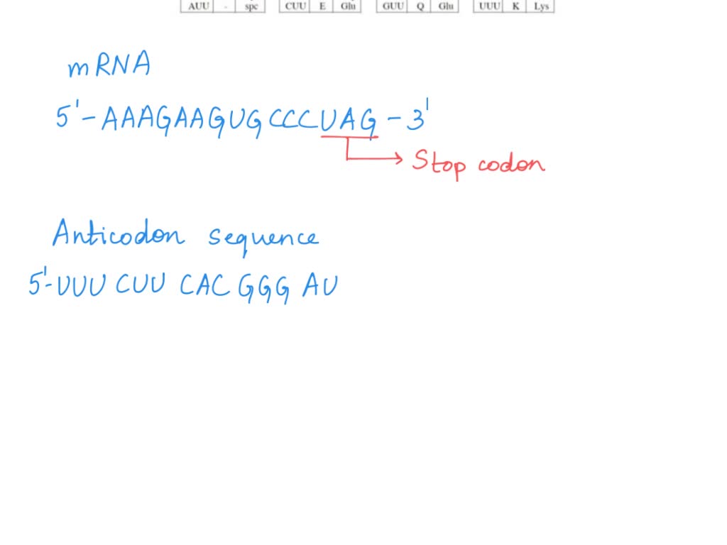 SOLVED: Question 5. (10 points). Using the chart below, transcribe and ...