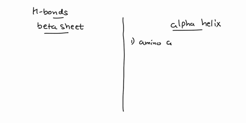 texts-how-do-the-hydrogen-bonds-differ-in-a-beta-sheet-from-the-alpha-helix-93466