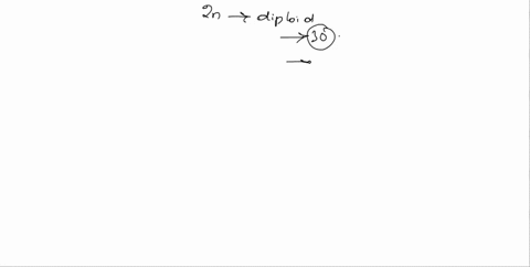 a-diploid-number-of-chromosomes-in-a-giraffe-is-30-how-many-chromosomes-would-be-in-a-triple-disomic-gamete-18-16-15-20-19155