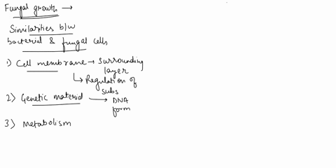 experiment-1introduction-to-science-identifying-the-optimal-conditions-for-fungal-growth-experiment-inventory-materials-10-ml-45-acetic-acid-c2h4o2-2-lemon-juice-packets-10-ml-corn-syrup-per-18524