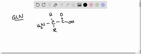 draw-the-structure-of-gln-draw-the-molecule-on-the-canvas-by-choosing-buttons-from-the-tools-for-bonds-atoms-and-advanced-template-toolbars-including-charges-whe-needed-the-single-bond-is-ac-57493