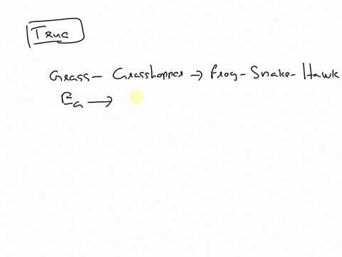 a-food-chain-describes-how-energy-is-transferred-from-one-organism-to-another-1-point-true-or-false-21898