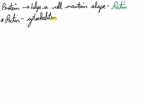 which-cytoskeleton-protein-helps-a-cell-maintain-its-shape-71608