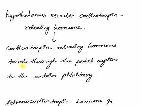 drag-and-drop-the-items-below-into-the-correct-sequence-from-left-to-right-reset-help-adrenocorticotropic-hormone-is-secreted-from-the-anterior-pituitary-acth-travels-in-the-blood-to-the-adr-65549