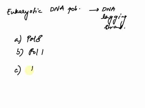 which-eukaryotic-dna-polymerase-synthesizes-dna-on-the-lagging-strand-a-dna-polymerase-delta-b-dna-polymerase-i-c-dna-polymerase-alpha-d-dna-polymerase-epsilon-39656