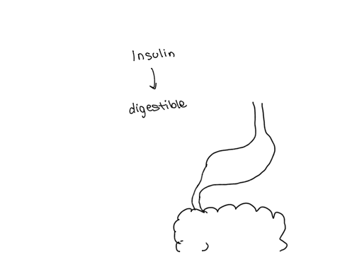explain-why-insulin-is-no-administered-orally-95405