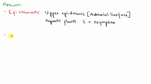 what-type-of-plant-would-have-stomata-only-in-their-upper-epidermis-both-epidermises-lower-epidermis-only-04543