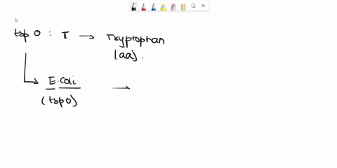 in-the-absence-of-tryptophan-what-happens-to-the-genes-within-the-trp-operon-lack-of-tryptophan-increases-the-level-of-camp-which-leads-to-activation-of-cap-protein-and-gene-expression-the-a-24845