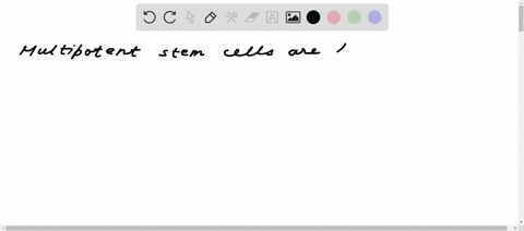 question-13-pts-where-would-you-find-multipotent-stem-cells-blastocyst-totipotent-morula-uccc-human-fetus-sperm-pluripotent-inner-mass-cells-examples-circulatory-system-immune-system-nervous-89036