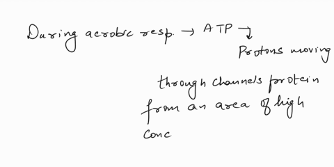 during-aerobic-respiration-a-majority-of-the-atp-that-is-created-is-a-result-of-the-overall-movement-of-potassium-ions-being-pumped-into-the-inner-membrane-space-of-the-mitochondria-electron-35547