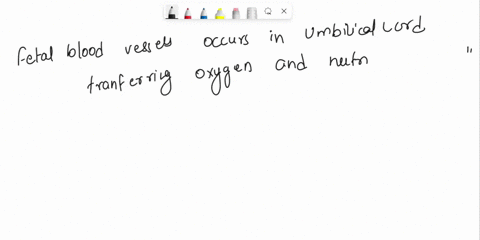 pick-the-true-statement-below-fetal-blood-vessels-are-found-only-in-the-umbilical-cord-o-maternal-blood-can-cross-directly-into-the-synciotrophoblast-cells-o-chorionic-villi-are-in-lacunae-t-27036