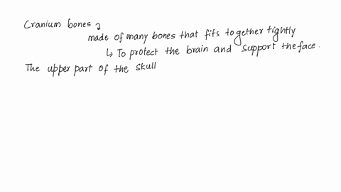 why-do-you-think-there-are-so-many-bones-in-the-cranium-why-do-you-think-we-are-born-with-separate-cranial-bones-that-later-fuse-together-as-we-grow-and-develop-78638