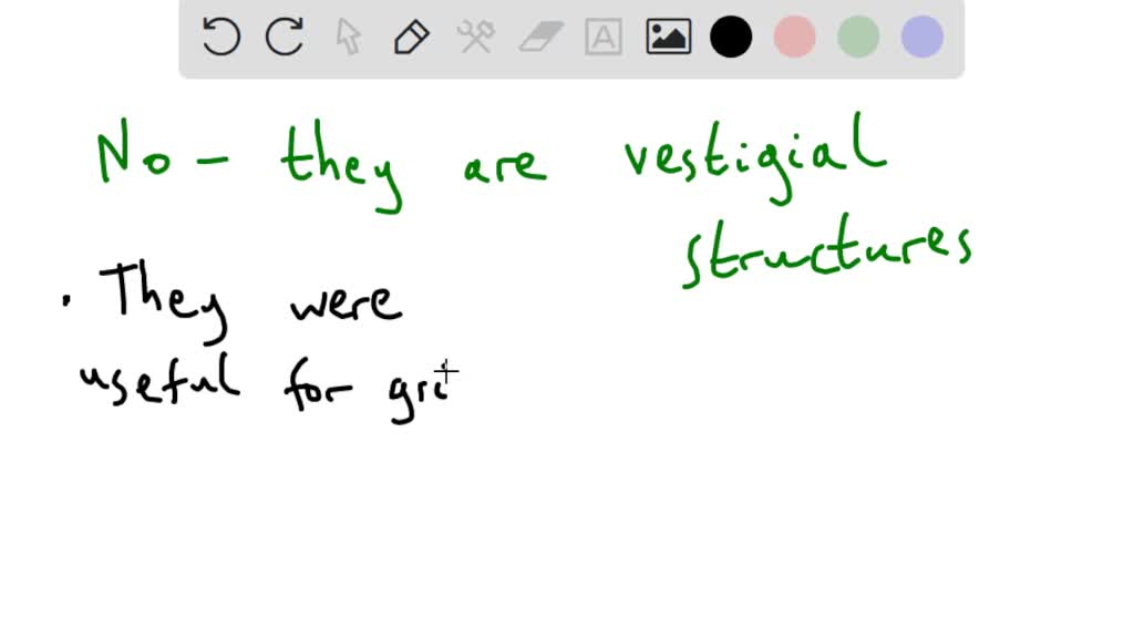 SOLVED Some varieties of gums are used as food is it true