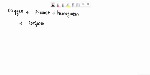when-oxygen-binds-to-subunit-of-hemoglobin-the-points-select-one-a-t-conformation-of-hemoglobin-shift-to-the-r-state-distal-histidine-his-64-move-away-from-the-oz-decreasing-the-affinity-for-96735