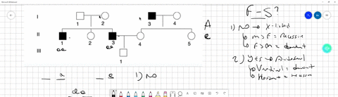 1_-could-the-characteristic-followed-in-the-pedigree-be-caused-by-an-autosomal-dominant-disease-why-or-why-not-2-if-the-pedigree-is-for-an-autosomal-recessive-characteristic-which-individual-40629