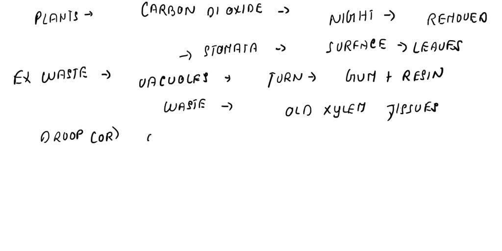 SOLVED what are the methods used by plants to get rid of excretory