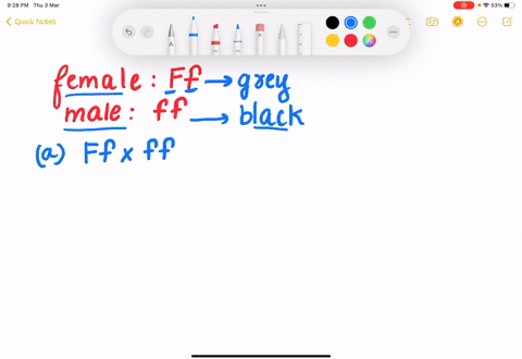 in-dogs-the-gene-for-fur-color-has-two-alleles-the-dominant-allele-codes-for-grey-fur-and-the-recessive-allele-codes-for-black-fur-cross-1-the-female-dog-is-heterozygous-and-the-male-dog-is-32378