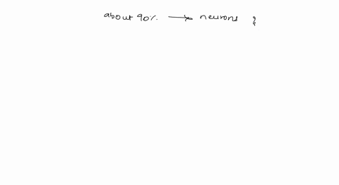 about-90-of-the-neurons-in-the-nervous-system-are-neurons-multiple-choice-afferent-sensory-inter-molor-eujerene-37924