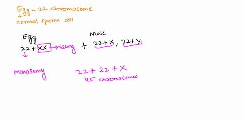 an-egg-with-22-chromosomes-that-is-fertilized-by-normal-sperm-will-result-in-nondisjunction-during-subsequent-mitosis_-zygote-with-disomy-zygote-with-monosomy-zygote-with-normal-chromosome-n-93769