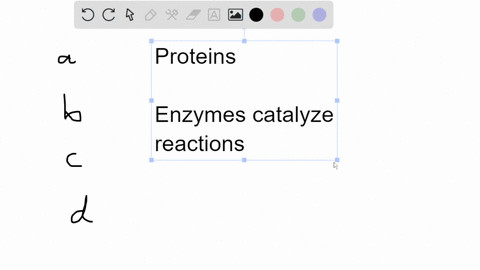 of-the-following-important-protein-statements-which-is-the-correct-one-associated-to-its-functions-2-enzymatic-proteins-protect-our-body-against-diseases-b-transport-proteins-are-responsible-24673