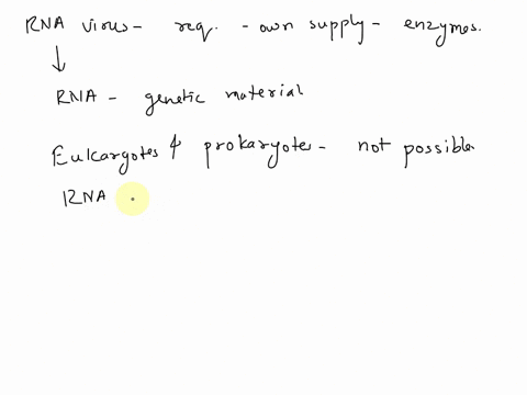 rna-viruses-require-their-own-supply-of-certain-enzymes-becausea-host-cells-rapidly-destroy-the-virusesb-host-cells-lack-enzymes-that-can-replicate-the-viral-genomec-these-enzymes-translate-63546