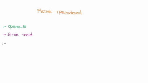 which-protist-is-characterized-by-a-pseudopod-euglenoid-slime-mold-ciliate-sarcodine-98224