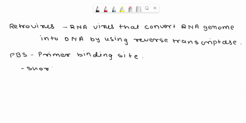 what-is-the-function-of-the-pbs-sequence-in-a-typical-retrovirus-a-it-initiates-integration-of-the-proviral-dna-into-the-host-_-genome-b-it-binds-a-trna-for-the-initiation-of-reverse-transcr-15144