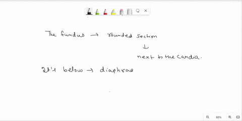 help-i-need-some-answers-fast-thank-you-for-the-help-with-the-labeled-structures-to-the-right-choices-are-not-repeated-questions-10-15-match-the-description-or-term-10the-fundus-11the-body-c-66882