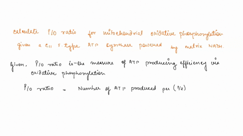 one-measure-of-atp-producing-efficiency-via-oxidative-phosphorylation-is-the-po-ratio-which-equals-the-number-of-atp-produced-per-12-o2-consumed-ie-per-electron-pair-donated-into-the-respira-73302