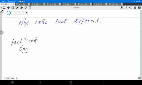 why-dont-all-cells-in-our-body-look-the-same-68373