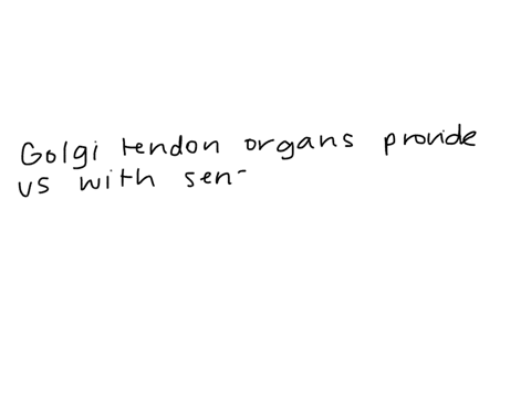 what-is-the-function-of-golgi-tendon-organs-10412