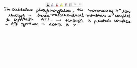 during-oxidative-phosphorylation-of-cell-respiration-ht-ions-move-through-the-membrane-pumping-electrons-from-one-side-of-the-membrane-to-the-other-atp-is-synthesized-when-h-ions-move-throug-96342