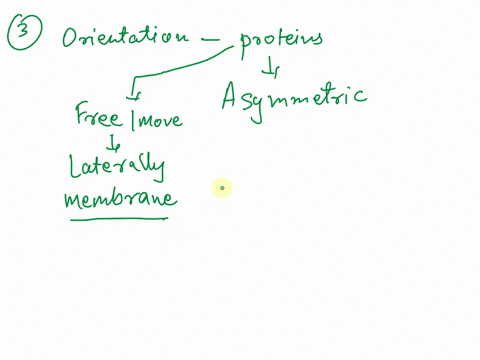14-which-of-the-following-statements-is-true-in-the-fluid-mosaic-model-of-membranes-the-distribution-of-both-integral-membrane-proteins-and-membrane-lipids-is-symmetric-b-in-the-fluid-mosaic-47673