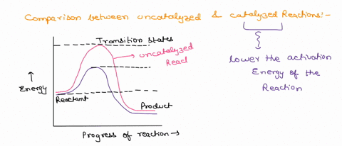 comparing-an-uncatalyzed-reaction-to-the-same-reaction-with-a-catalyst-which-one-of-the-following-is-always-true-the-catalyzed-reaction-will-be-exergonic-the-catalyzed-reaction-will-have-hig-20421