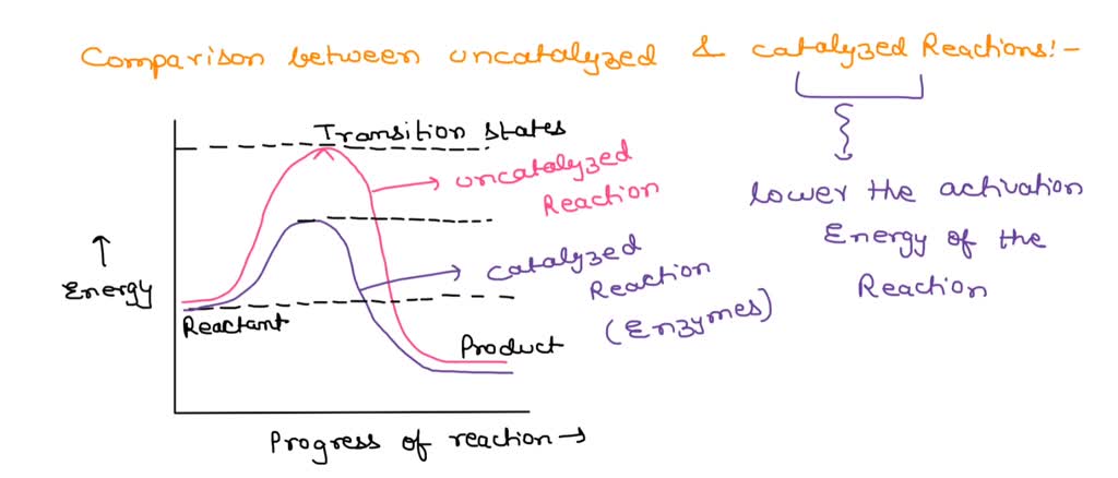 SOLVED: Comparing an uncatalyzed reaction to the same reaction with a ...