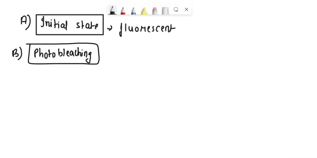 SOLVED Figure below; technique called FRAP was done (4,8, C and D are