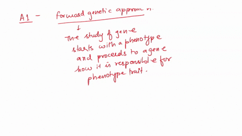 question-answer-whether-1-and-2-is-forward-or-reverse-genetics-for-the-fill-in-the-blank-1-abstract-1-doring-et-al-2019-the-evolution-of-c4-photosynthesis-proceeded-stepwise-with-each-small-37019