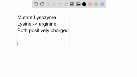 lysozyme-is-an-enzyme-that-breaks-down-bacterial-cell-walls-and-is-found-in-your-tears-mucus-and-saliva-a-mutation-occurs-in-the-gene-for-lysozyme-that-results-in-a-lysine-a-positively-charg-81772