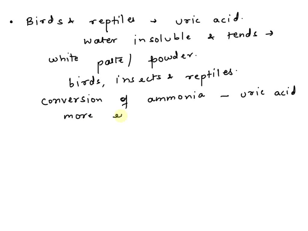 SOLVED Birds, insects, and many reptiles excrete nitrogenous waste in