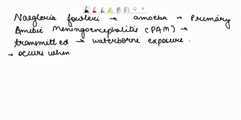 what-is-the-mode-of-transmission-for-naegleria-fowleri-which-causeses-primary-amebic-meningoencephalitis-pam-infections-37568