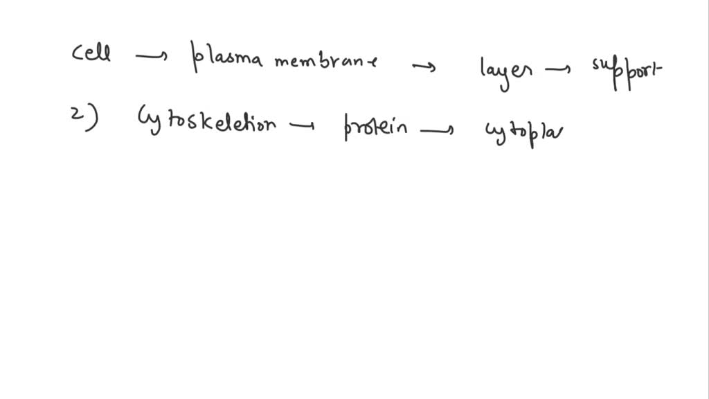 solved-identify-three-structures-which-provide-support-and-protection