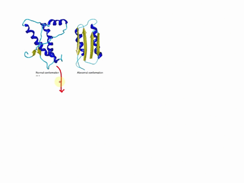 prions-are-aberrant-proteins-that-cause-creutzfeldt-jakob-disease-in-humans-mad-cow-disease-from-contaminated-beefand-scrapie-in-sheep-unfortunately-prions-have-demonstrated-the-highest-resi-30777