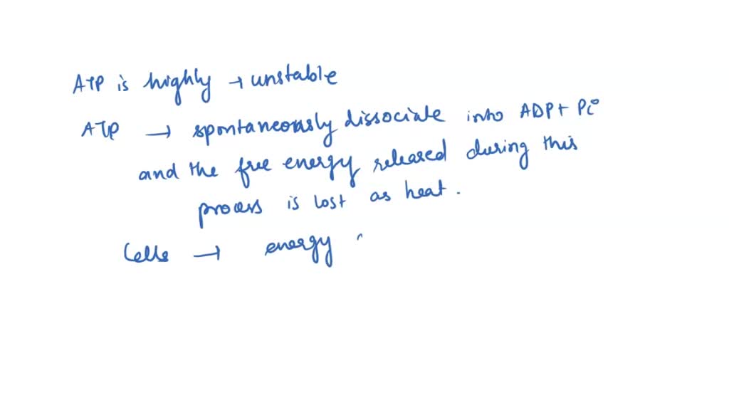 SOLVED Why is ATP an important molecule in metabolism? A) Its