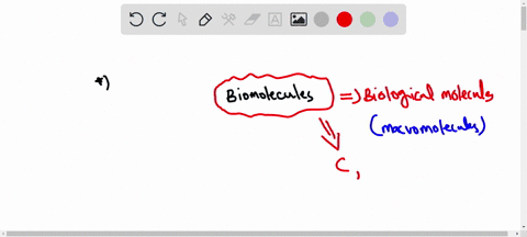 what-kinds-of-molecules-are-biomolecules-73096
