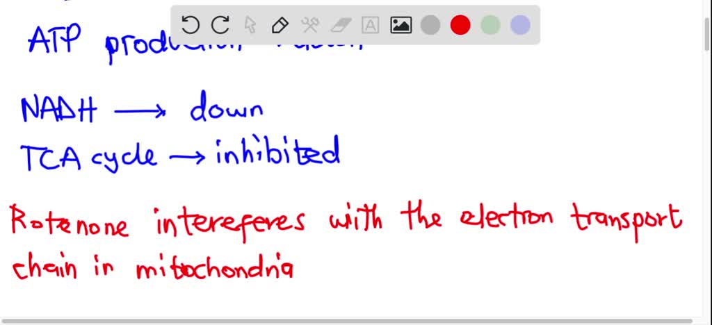 SOLVED: Rotenone is an herbicide that acts by blocking electron flow in ...