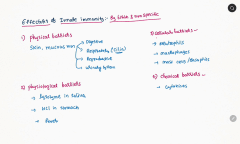 describe-three-effector-actions-of-innate-immunity-75549