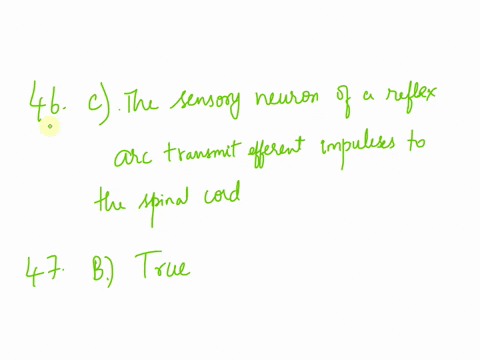 46-question-46-1-point-what-statement-is-true-regarding-reflexes-the-babinskis-test-is-testing-a-specific-reflex-of-the-lower-motor-neurons-the-deep-tendon-reflex-is-commonly-initiated-with-68689