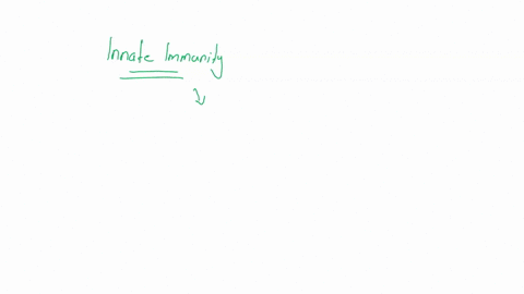 innate-immunity-includes-all-of-the-following-except-inflammation-production-of-antibody-phagocytosis-activation-of-complement-production-of-interferon-64513