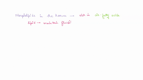 if-a-cell-has-already-replicated-its-chromosomes-and-all-of-its-organelles-but-it-has-not-been-triggered-to-begin-cell-division-yet-what-stage-is-it-ingroup-of-answer-choices-a-anaphase-b-cy-28058